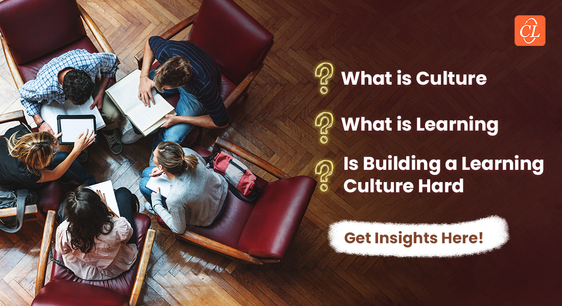 building-learning-culture-insights